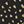 Gold Black