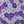 Purple Lilac