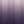 Gark Purple