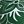 Green White