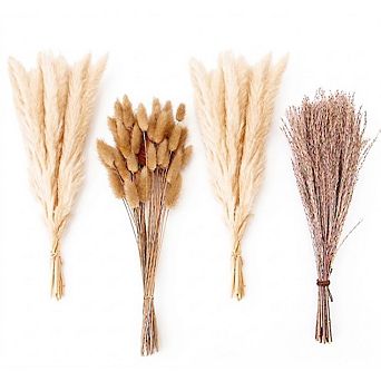 Dried Pampas Grass Bouquet with Bunny Tails for Boho Home Decor