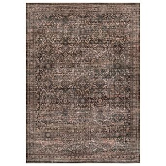 WRG Home Distressed Allover Machine Washable Indoor Area Rug