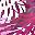 Cyan Pink