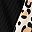 Black Leopard