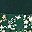 Emerald Green Floral
