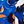 Blue Orange Block