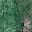Green Flowers