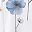 White Blue Flowers