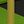 Yellow Green