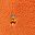 Brown Orange