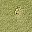 Green Dark Grey