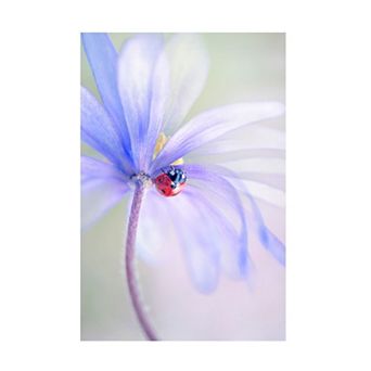 Trademark Fine Art Spring Lady Canvas Wall Art