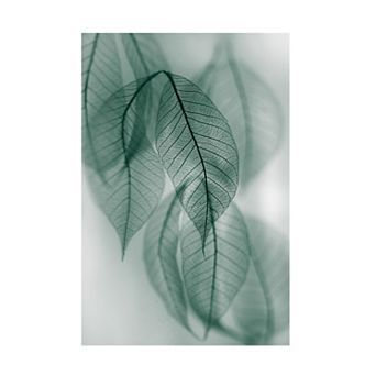 Trademark Fine Art Leaf Canvas Wall Art
