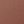 Apricot Brown