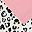 Pink Leopard Print