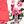 Minnie Pink Floral