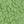 Mike Lime Green