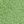 Mike Lime Green