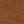 Medium Brown