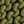 Green Multi