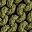 Green Multi