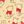 Pooh Cream Pink