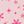 Hello Kitty Rose