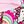 Hello Kitty Pink