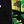 T Rex Black Green