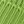 Acid Green