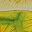 Yellow Green