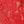Wine Red Red