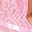 Red Pink