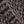 Darkgray