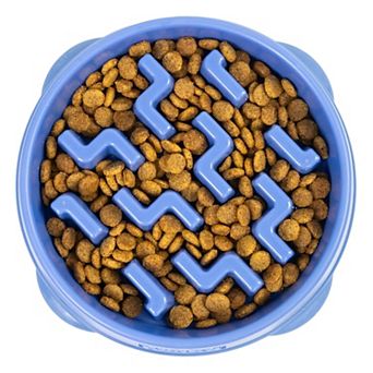 Slow Feeder Dog Bowl