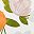 Orange Floral