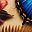 Blue Butterfly