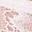 Light Pink White