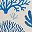Blue Coral