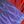 Blue Red Brown