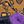 Yellow Grey Purple