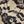 Beige Black Gray