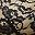 Black Gray