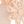 Beige Daisy