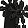 Black Daisy