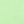 Mint Baby Pig