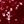 Claret