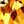 Gold Tone Citrine
