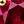 Gold Tone Lab Ruby