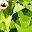Gold Tone Peridot